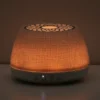 Scentsy Air - Image 19